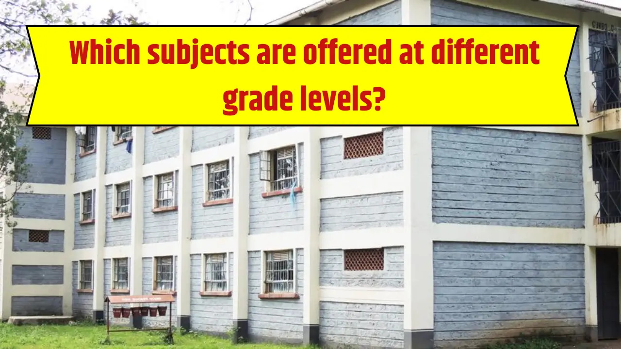 Murray High School Grade Levels